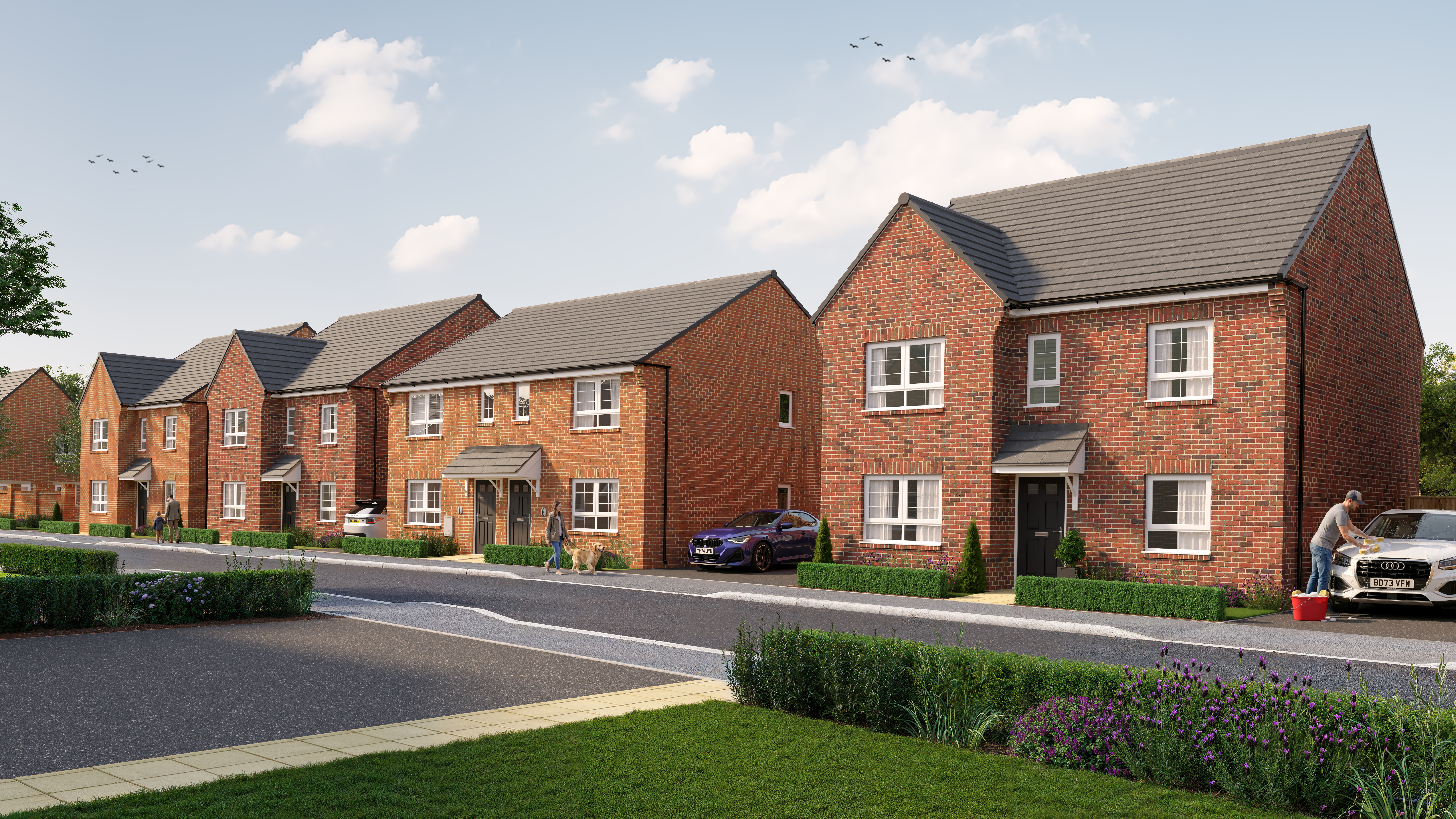 Paddocks_Street_View_8k_people (1)-1